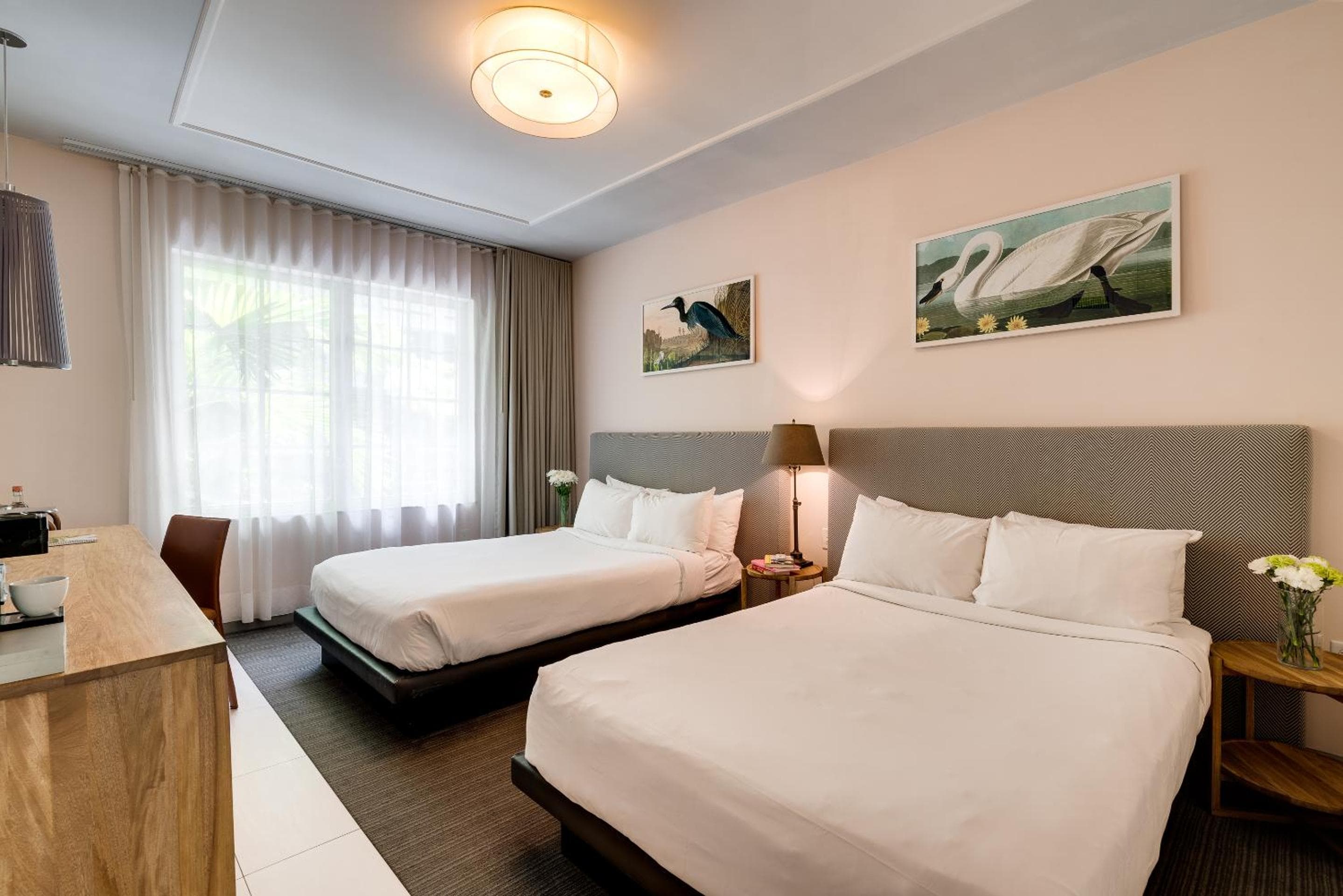Standard Double Queen Room room photo
