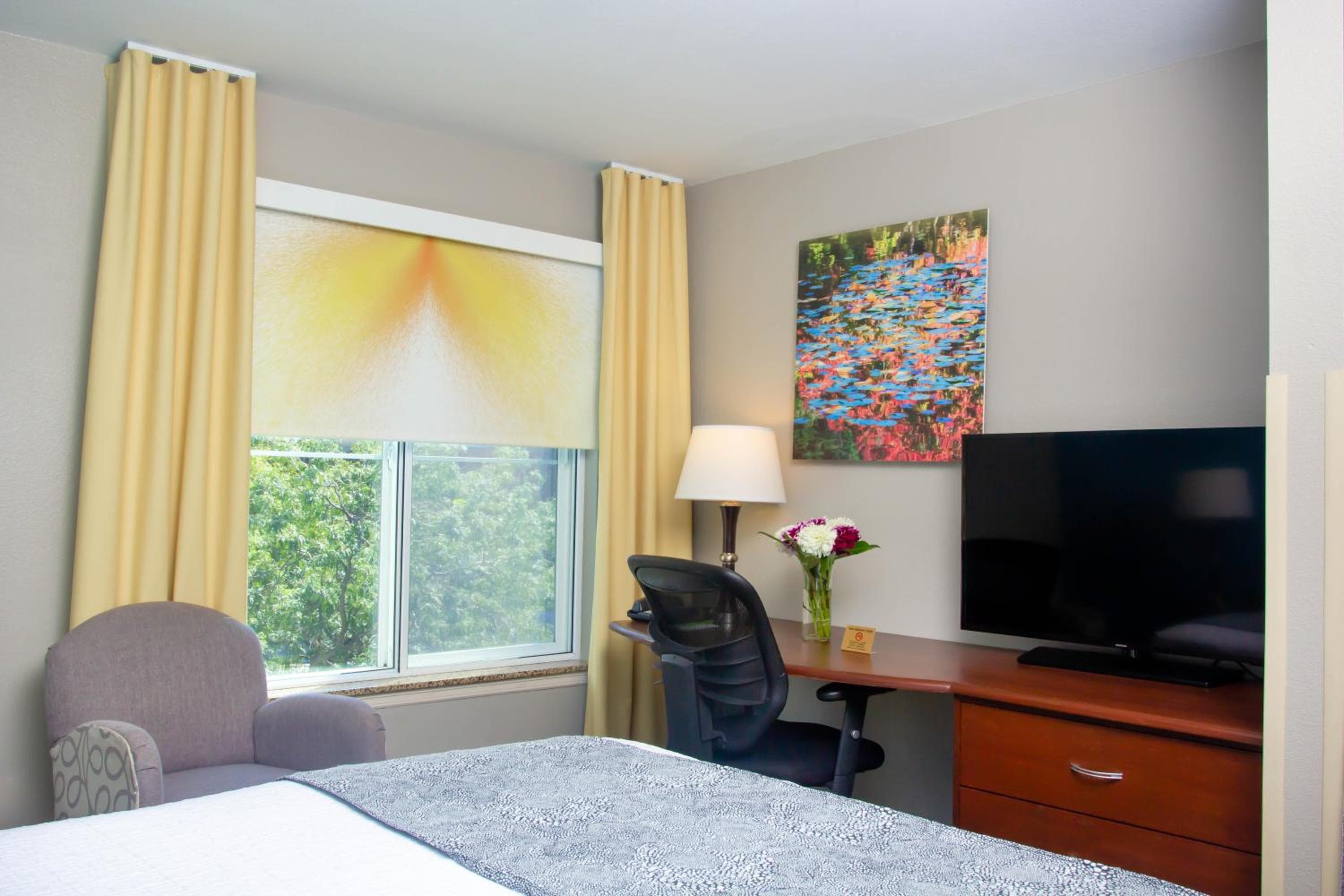 Petite Queen Room room photo