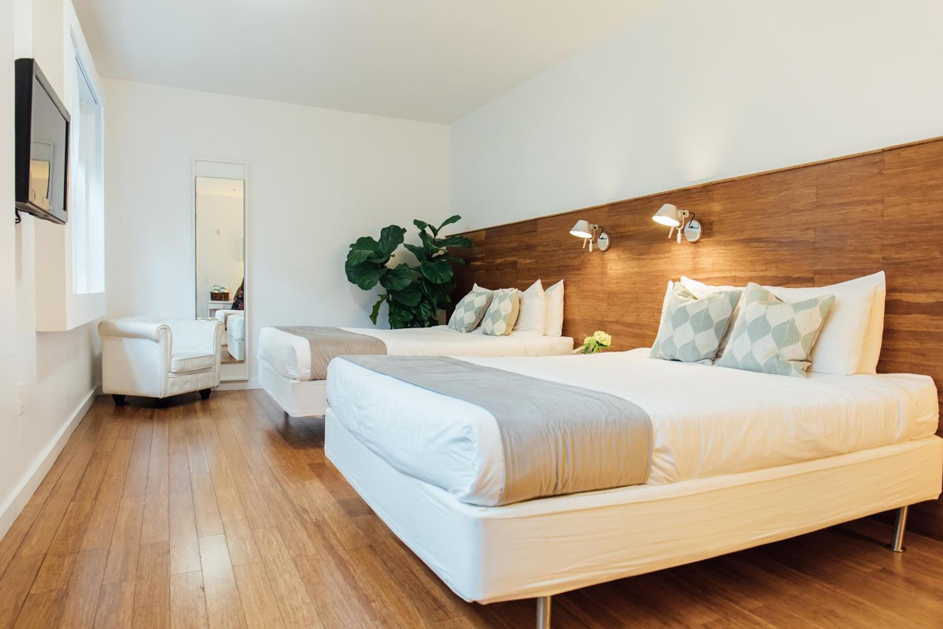 Deluxe Double, Two Queen Beds room photo