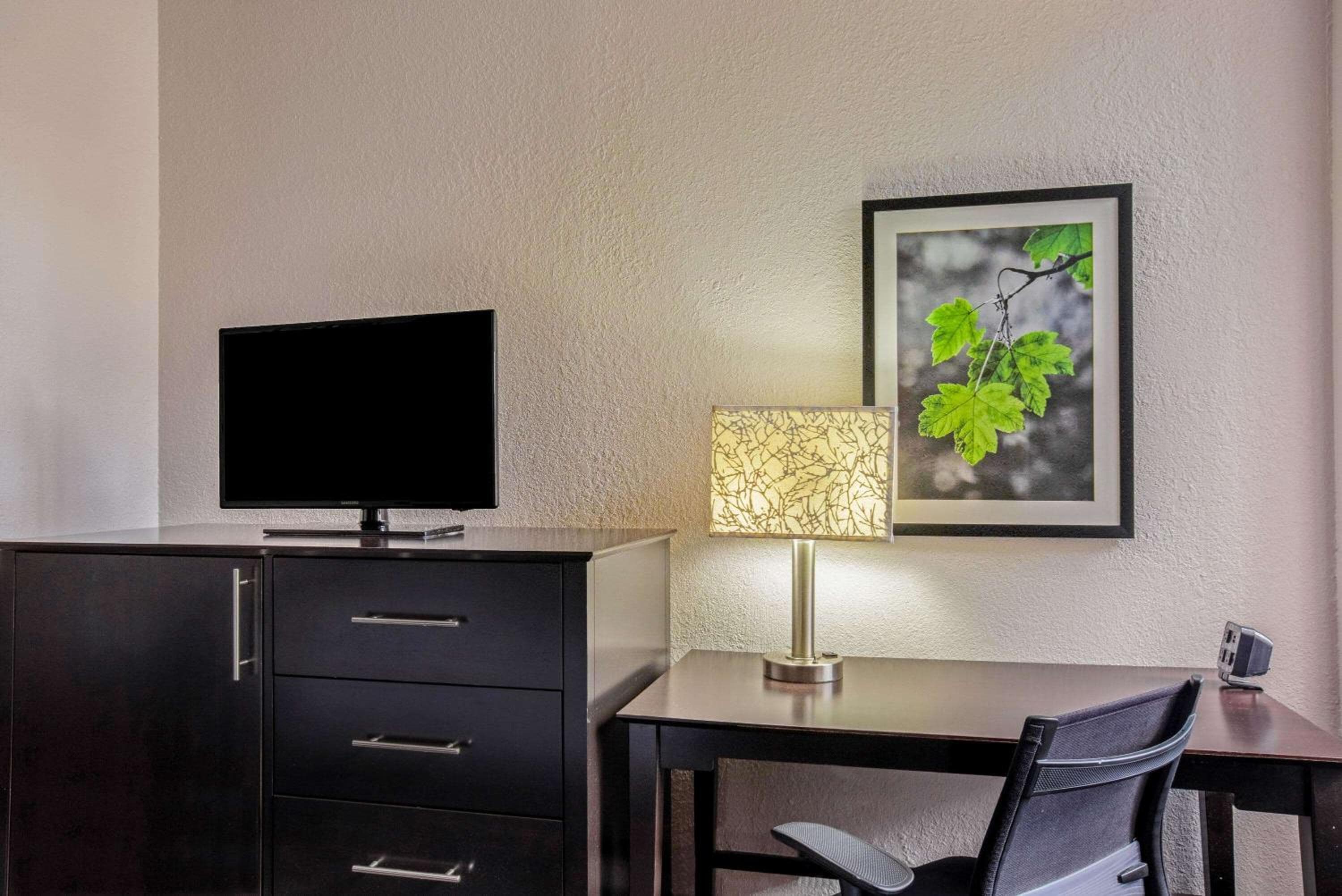 King Room room photo