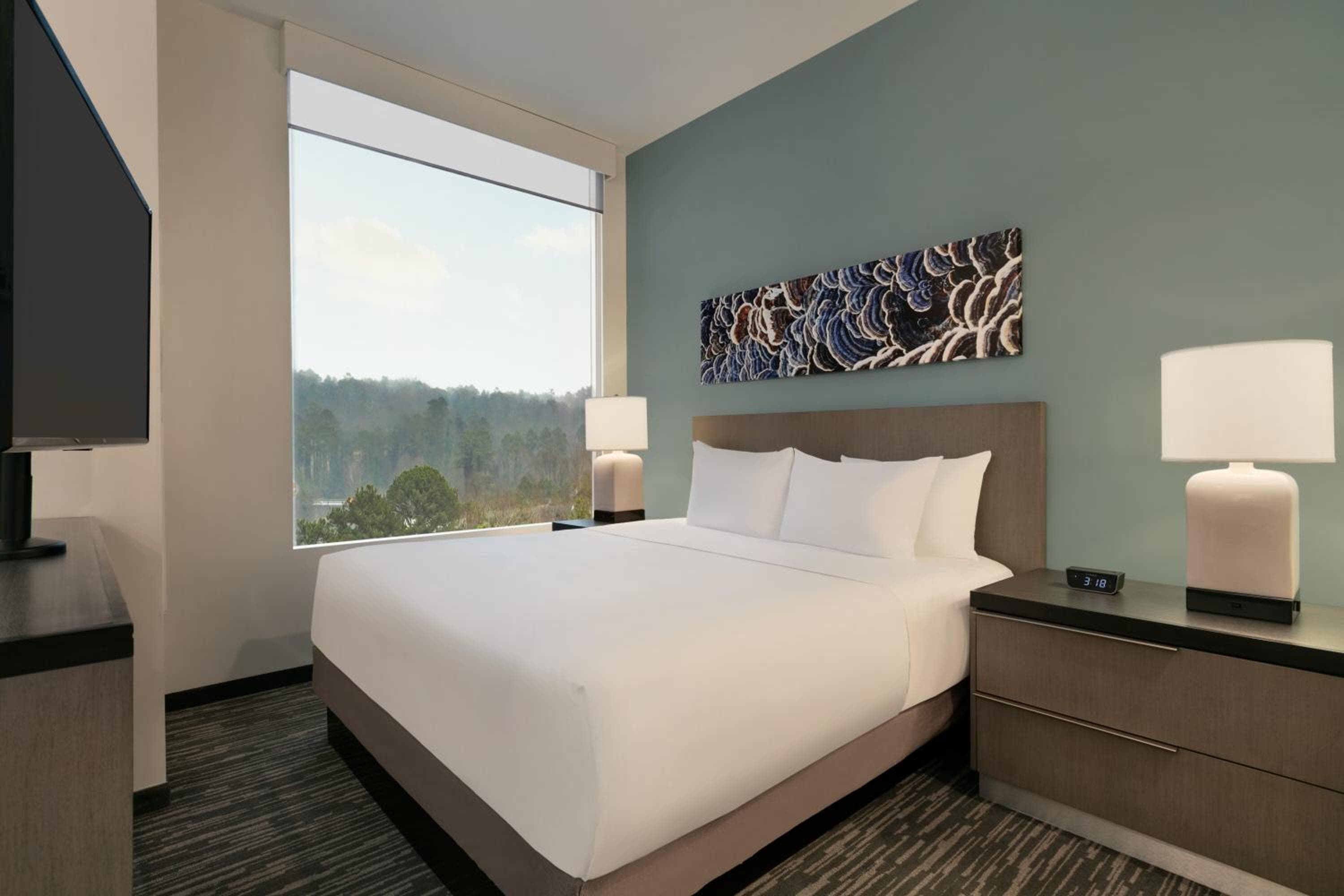 King Studio Suite with Kitchen and Sofa Bed room photo