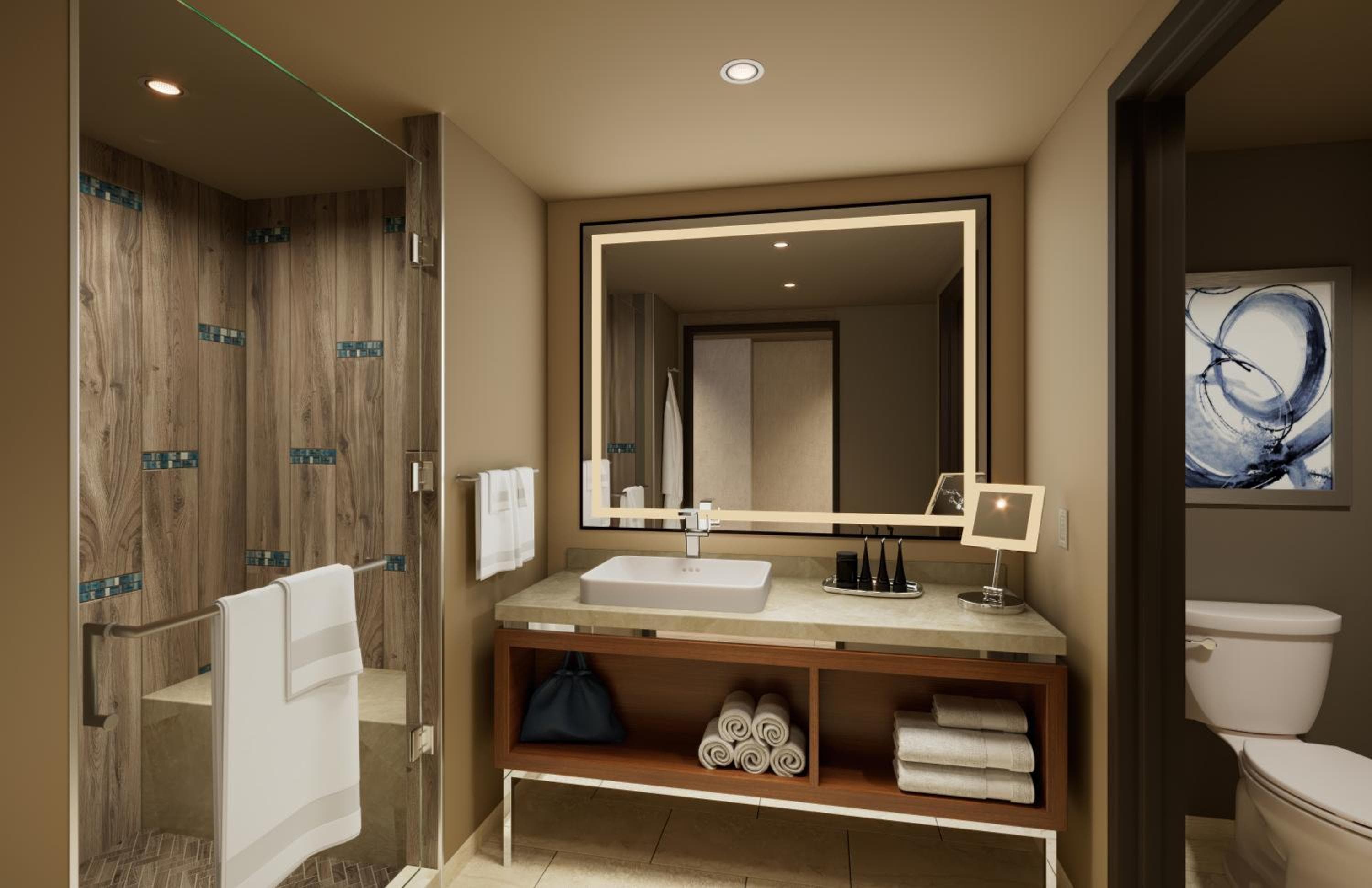 Modern Mountain View King room photo