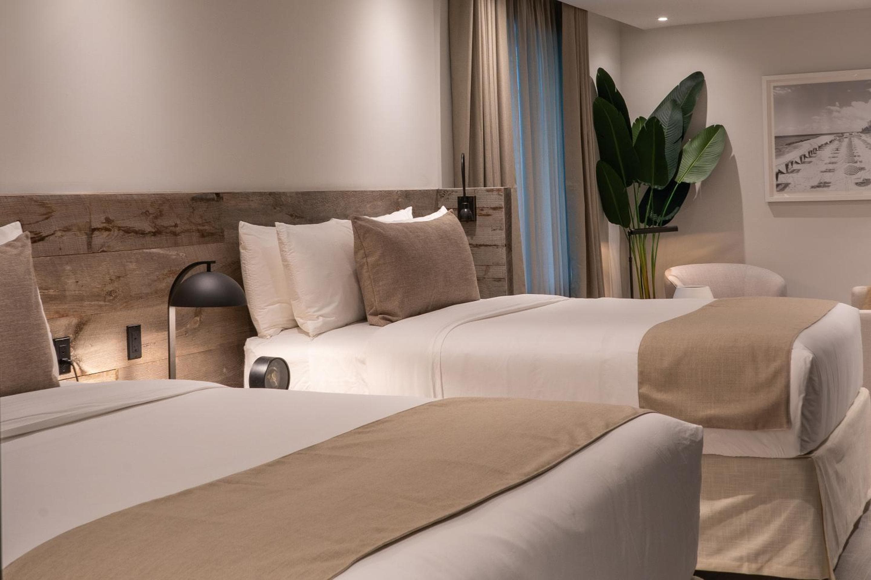 Deluxe Queen Suite room photo