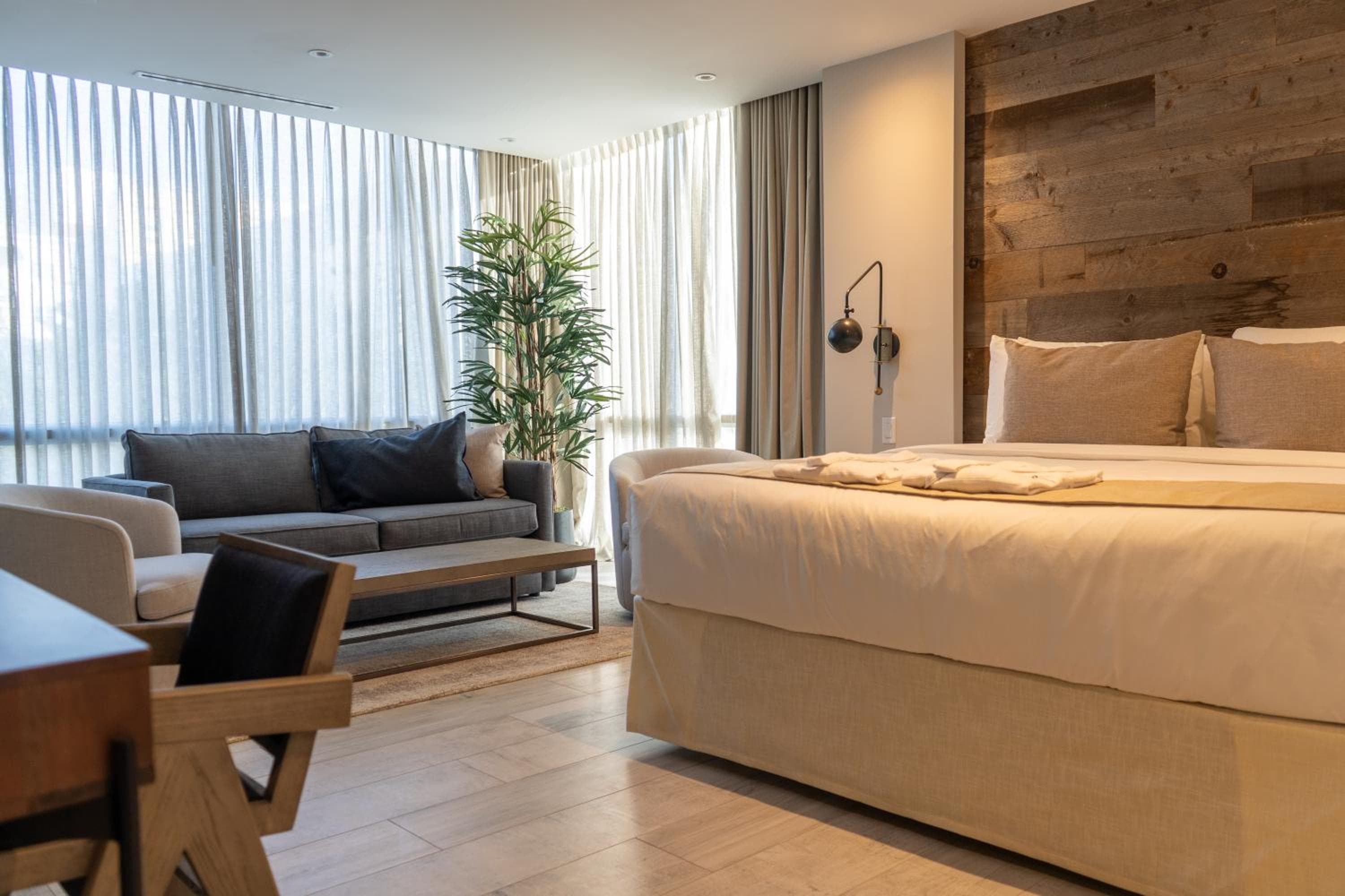 Deluxe King Suite room photo