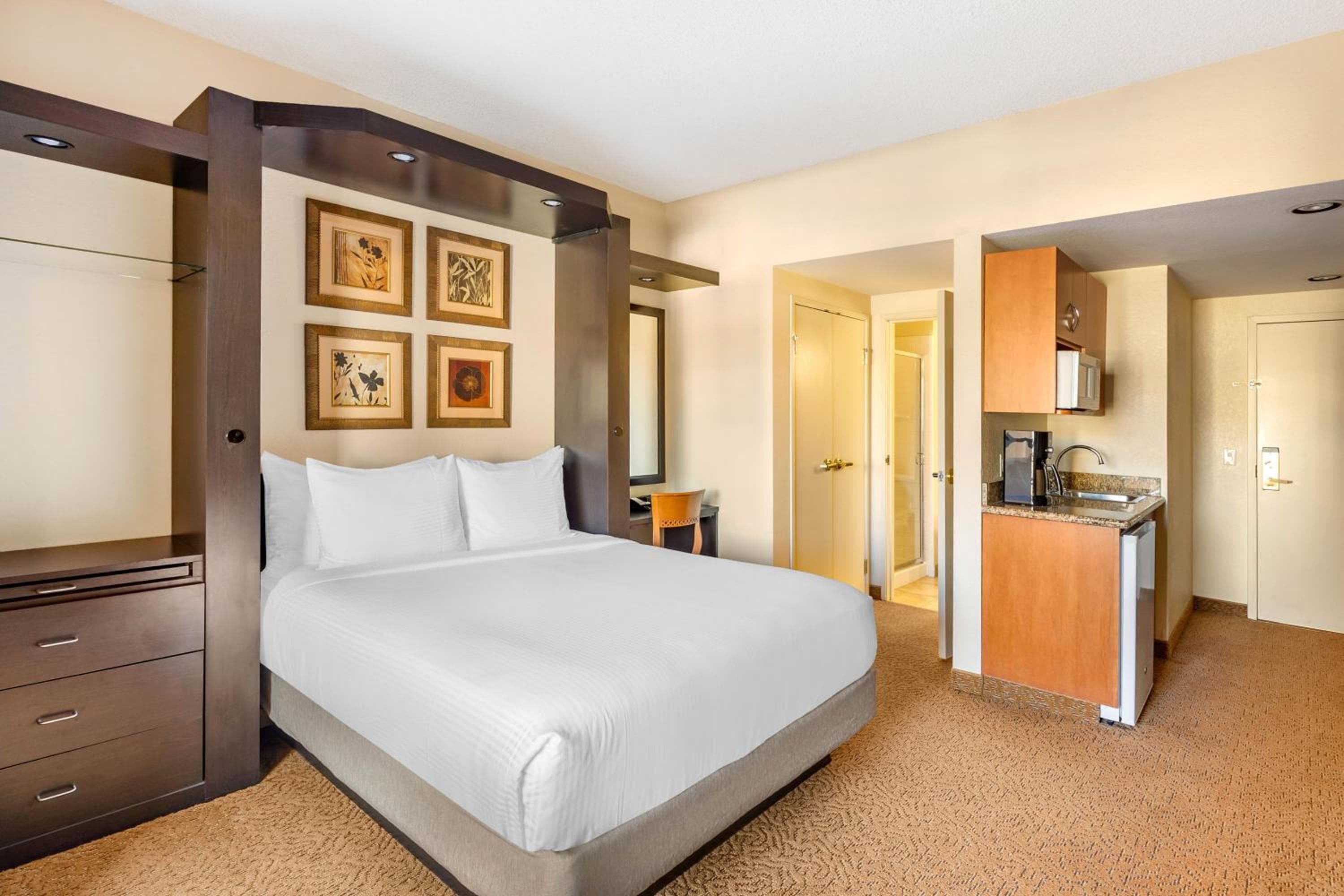 STUDIO 1 QUEEN MURPHY BED WITH BALCONY room photo