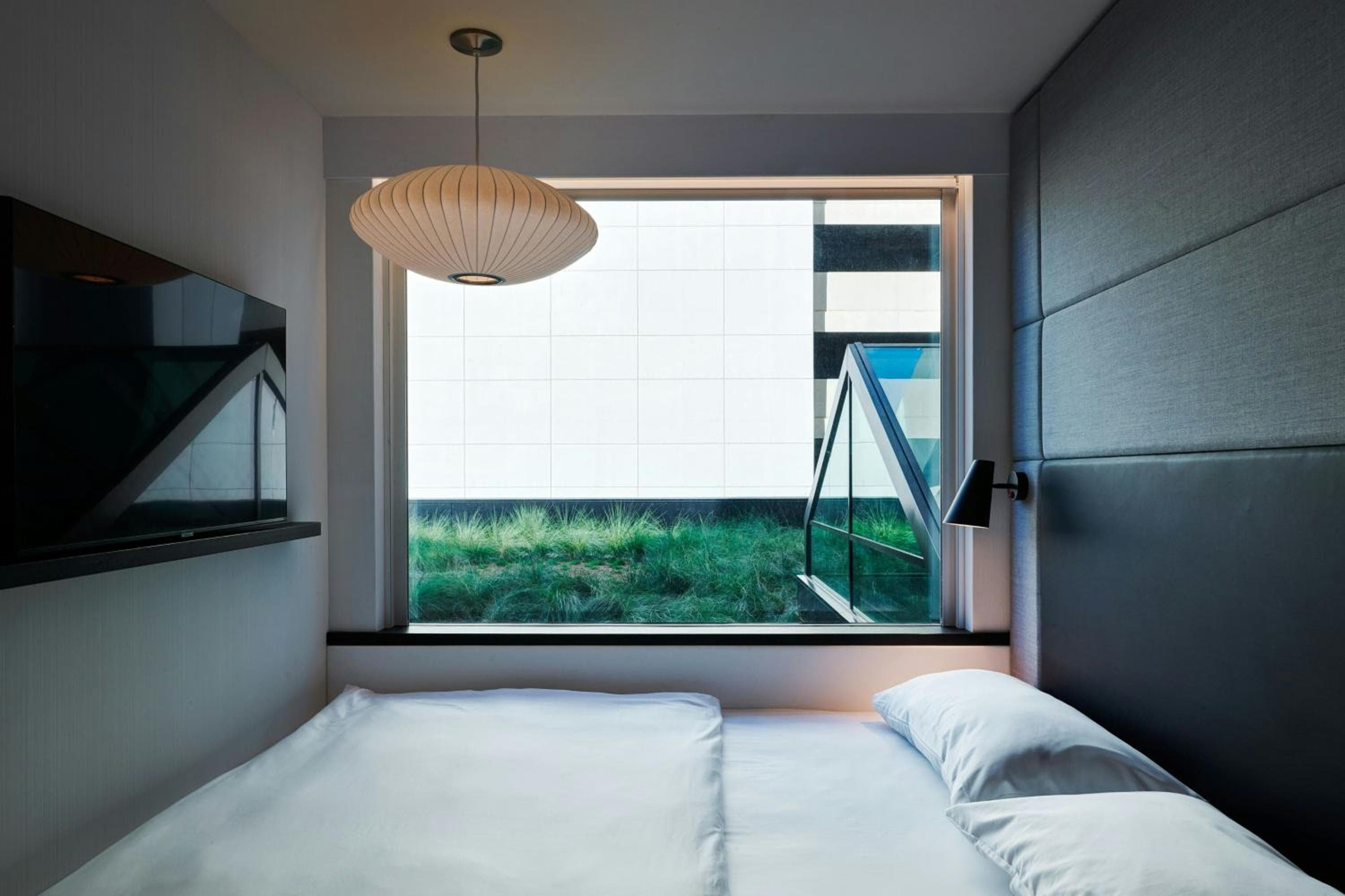 King Room room photo