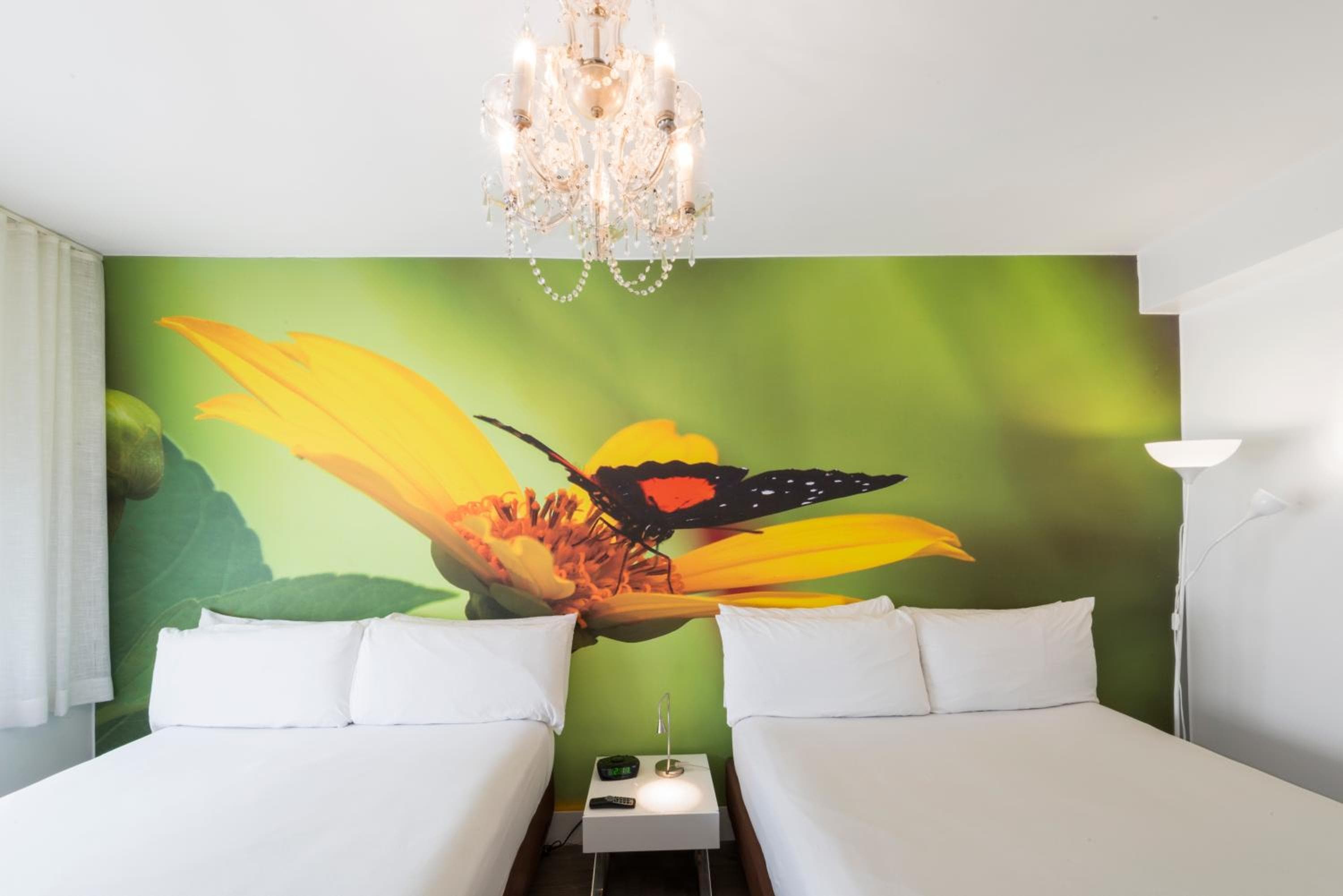 Traditional Two Queen Beds room photo