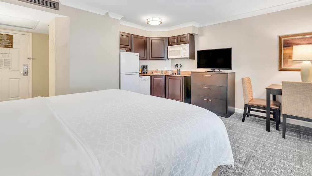Studio Suite, 1 King Bed, Kitchen (Atrium View) room photo