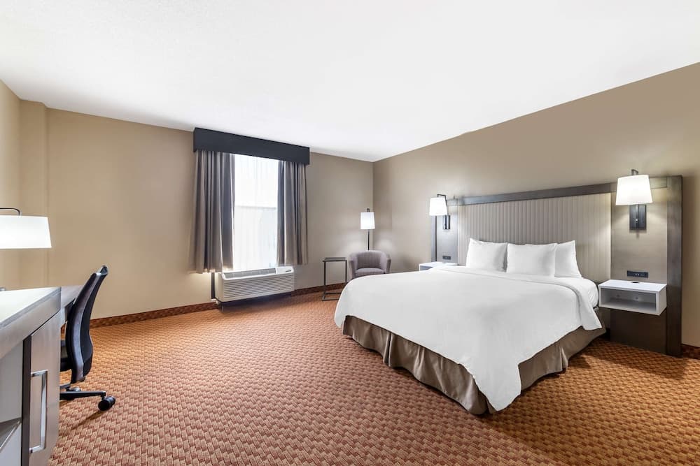 Standard Room, 1 King Bed, Accessible, Non Smoking room photo