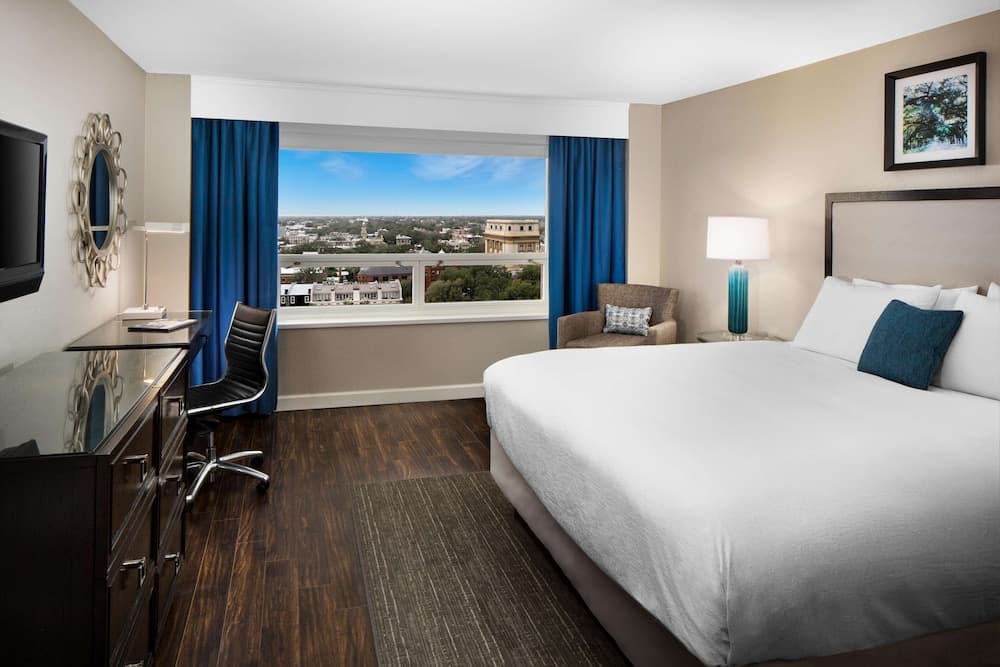 Room, 1 King Bed, City View room photo