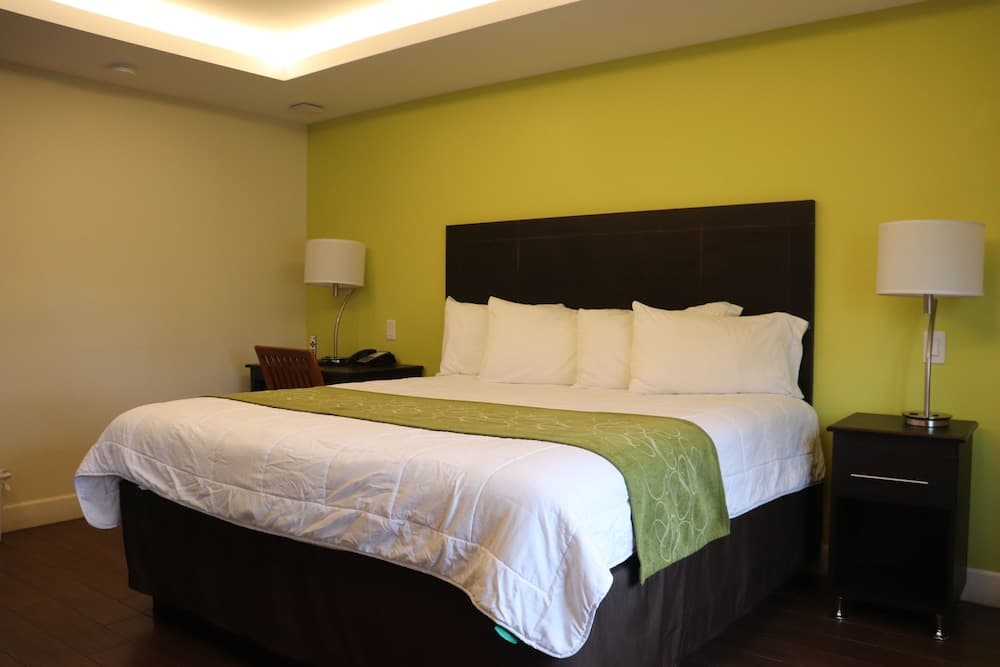 Standard Room room photo