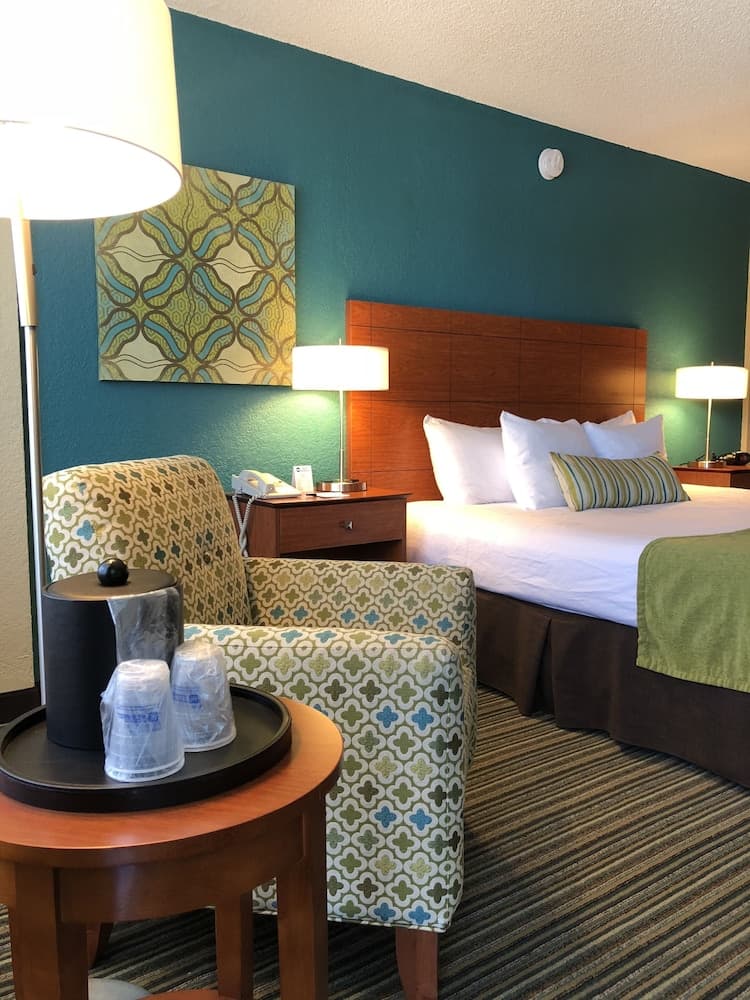 Classic Room, 1 King Bed room photo