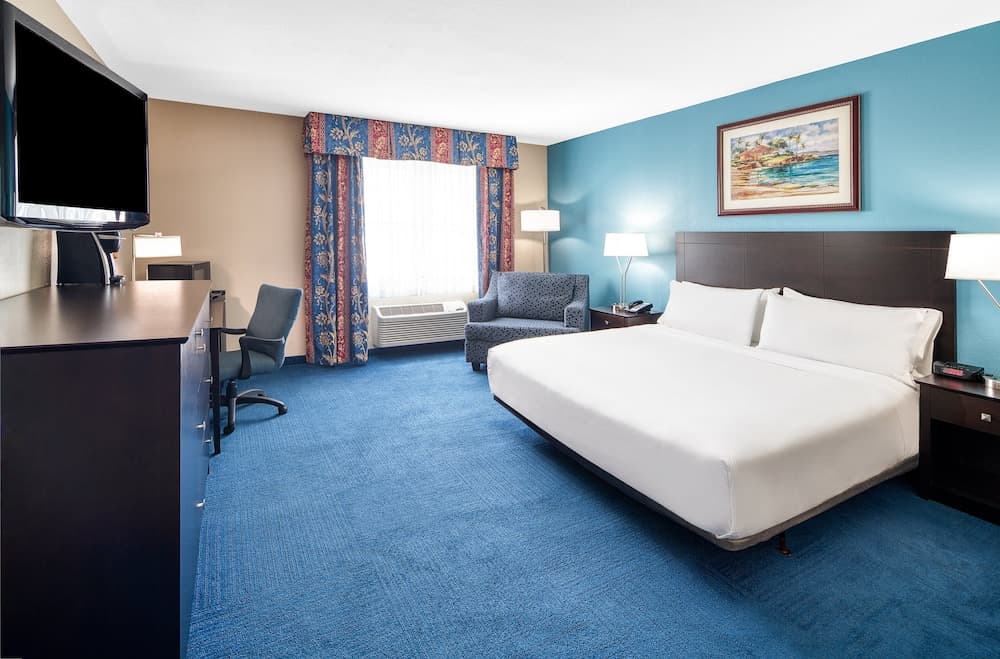 Standard Room, 1 King Bed, Accessible (Comm/Mobility, Accessible Tub) room photo