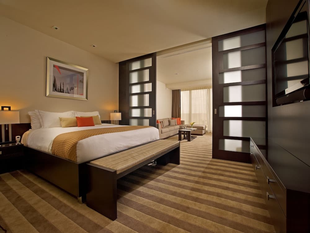Deluxe Suite room photo