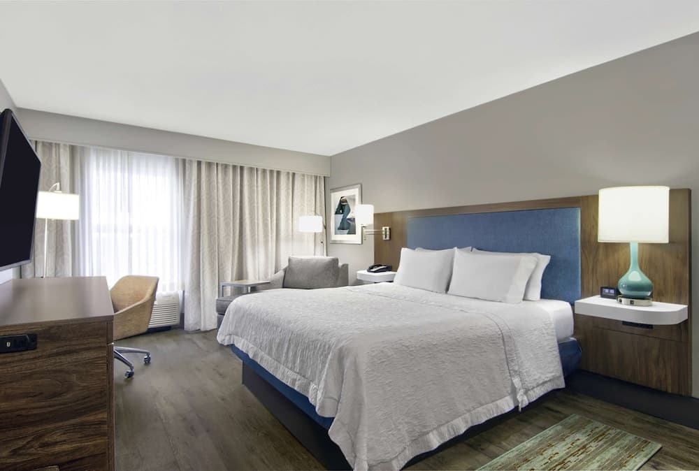 Room, 1 King Bed, Accessible, Non Smoking (Mobility & Hearing, Roll-in Shower) room photo