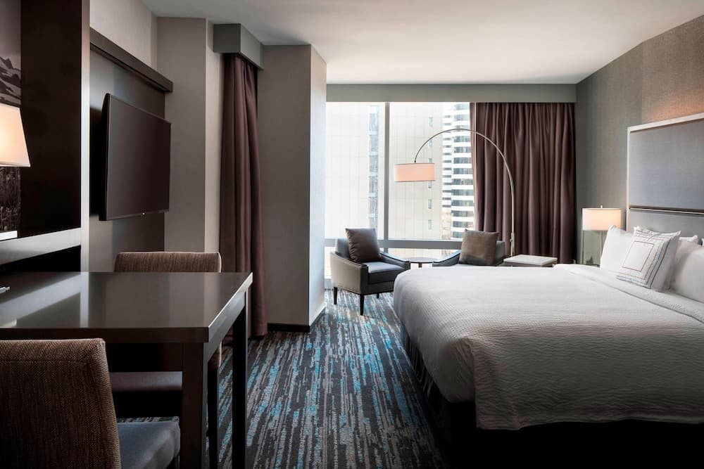 Studio Suite, 1 King Bed, City View room photo