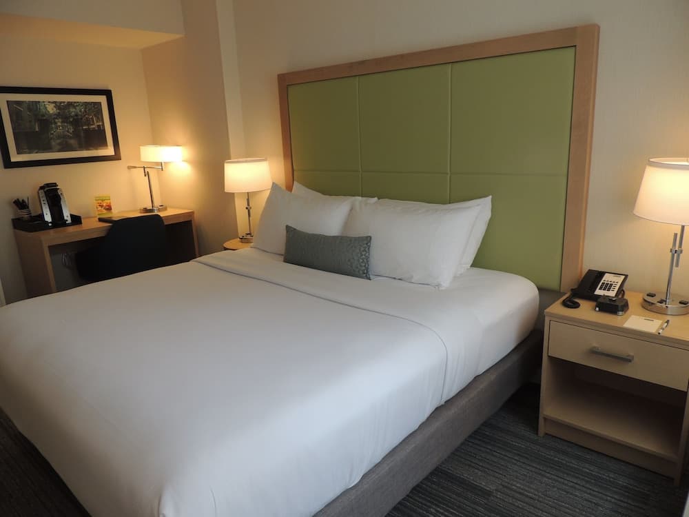 Superior Room, 1 King Bed room photo