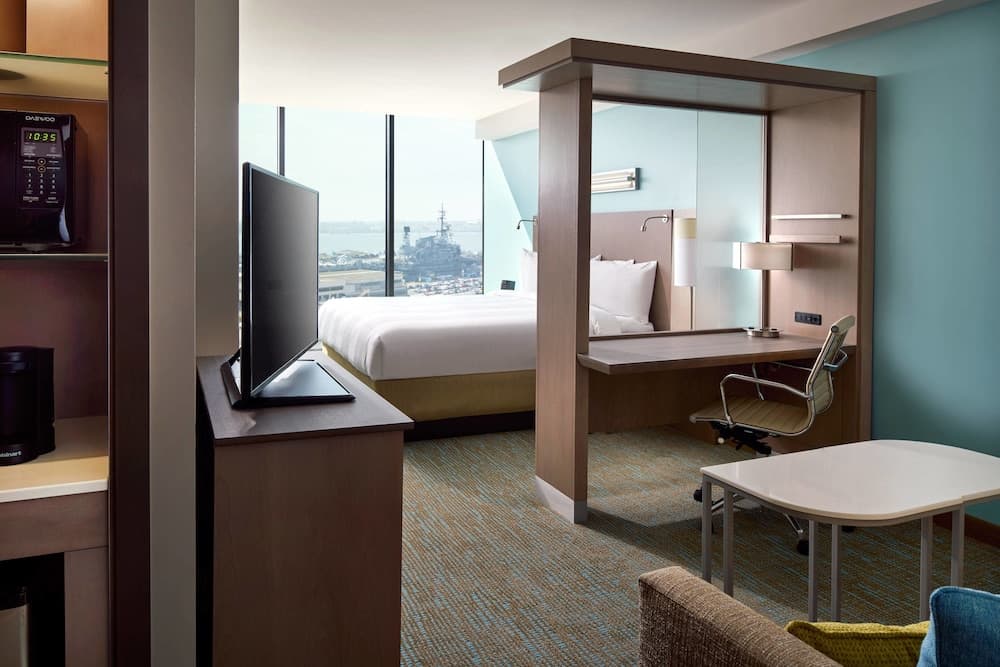 Studio Suite, 1 King Bed with Sofa bed room photo
