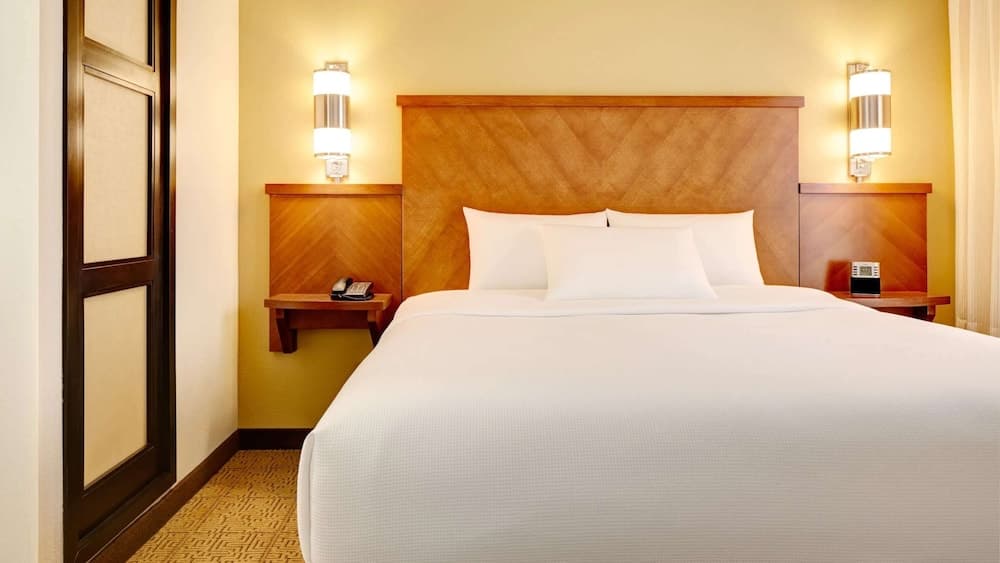 Room, 1 King Bed with Sofa bed, Accessible (Mobility Tub) room photo