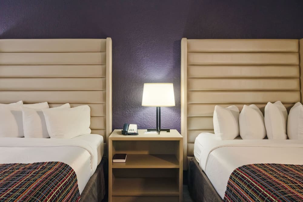 Studio Suite, 2 Queen Beds room photo