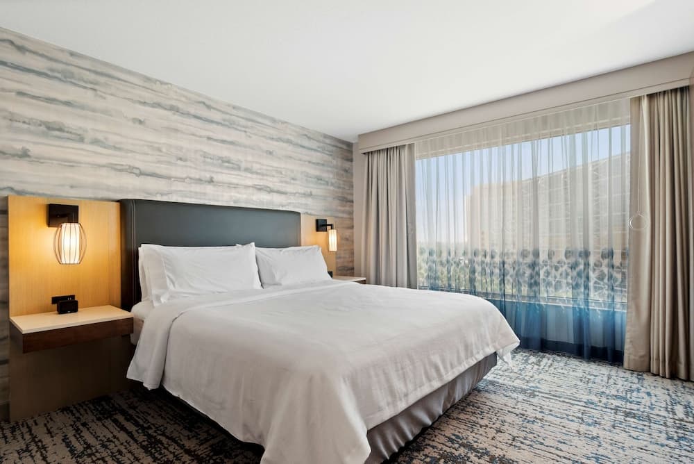 Suite, 1 King Bed, Accessible (Roll-in Shower) room photo