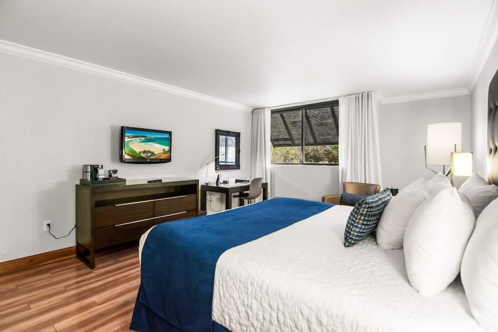 Deluxe King Bed room photo