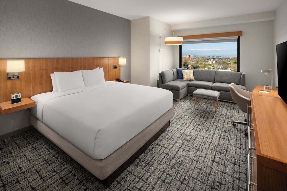Room, 1 King Bed room photo