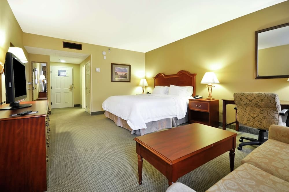 Room, 1 King Bed, Accessible room photo