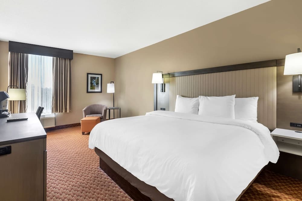 Business Room, 1 King Bed, Non Smoking, Refrigerator room photo