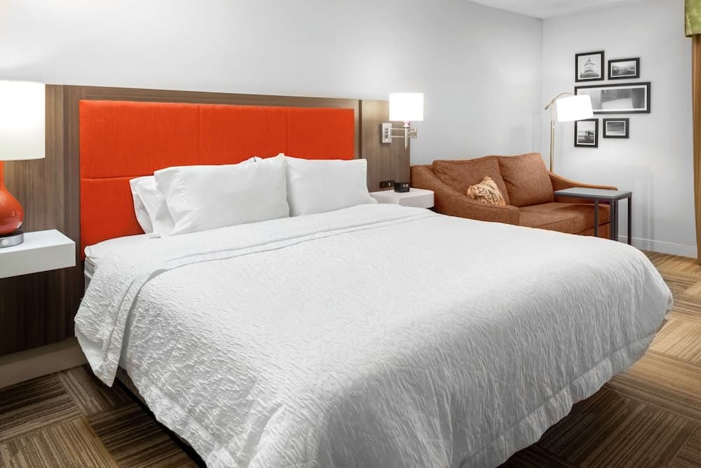 Room, 1 King Bed with Sofa bed room photo